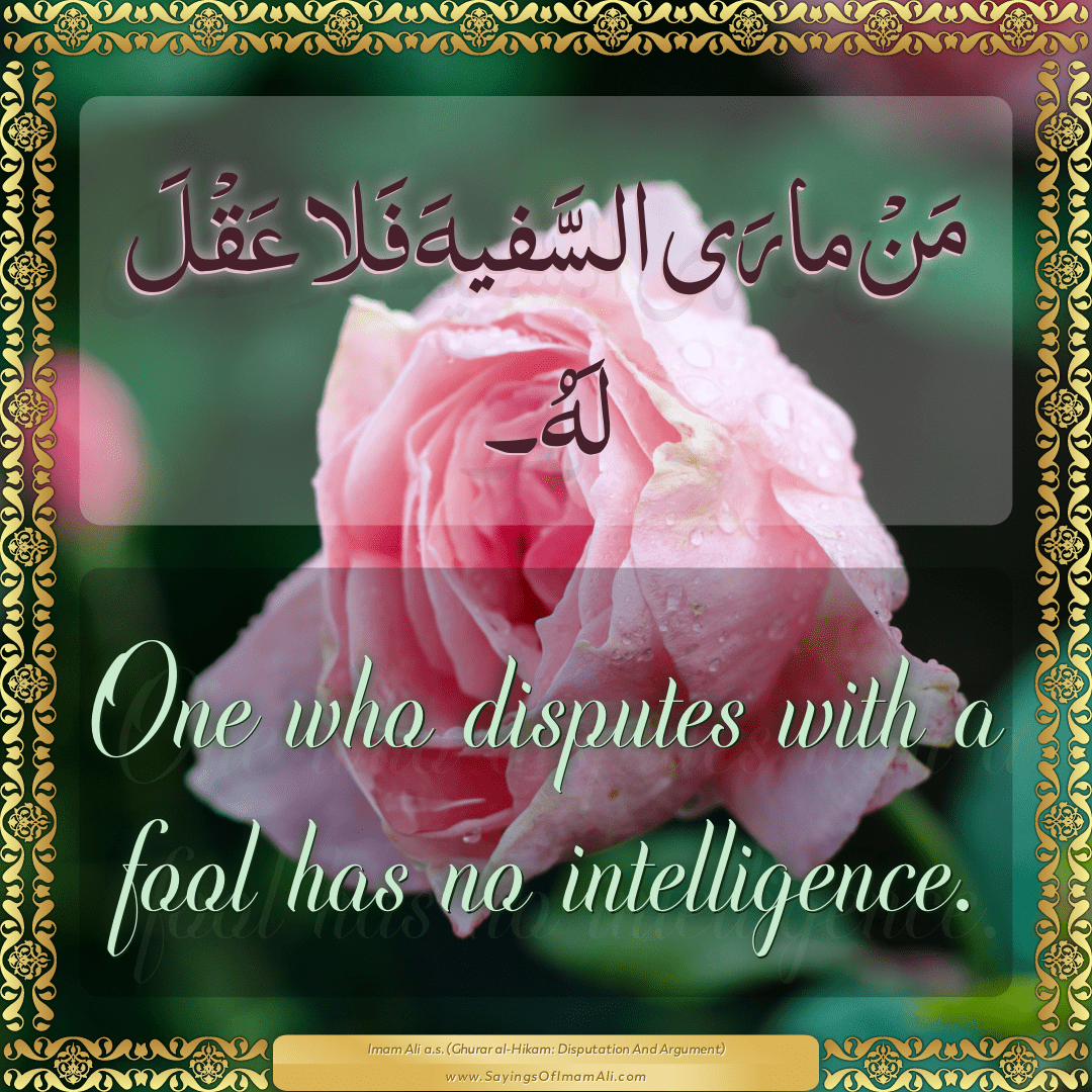 One who disputes with a fool has no intelligence.